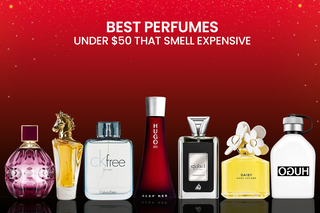 Best affordable perfumes under $50 with luxurious scents, featuring brands like CK, Hugo Boss, and Marc Jacobs.