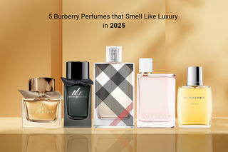 5 Burberry Perfumes That Smell Like Luxury in 2025 Blog Post