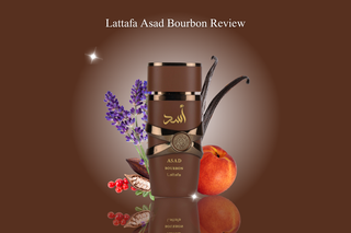 Lattafa Asad Bourbon Review at fragrancedealz.com