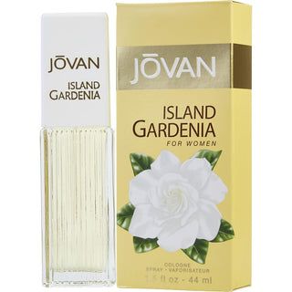 JOVAN ISLAND GARDENIA by Jovan - COLOGNE SPRAY