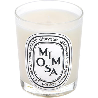 DIPTYQUE MIMOSA by Diptyque - SCENTED CANDLE