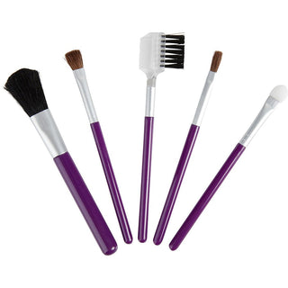 5 Piece Travel Makeup Brush Set in a chic, compact case with soft, synthetic bristles.