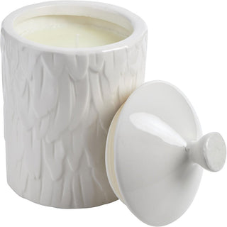 Thompson Ferrier Wildflower Feather Textured Scented Candle 18.4 oz at fragrancedealz.com