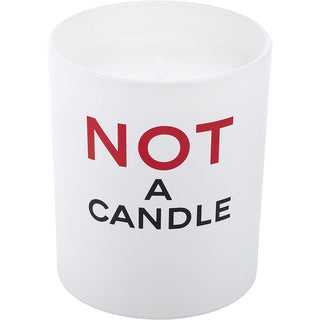 Not A Perfume Scented Candle 6.35 OZ.