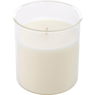 Sparkling Champagne Esque Candle Insert 9 oz available at fragrancedealz.com