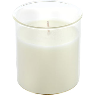 SANDALWOOD & PATCHOULI by Northern Lights - ESQUE CANDLE INSERT