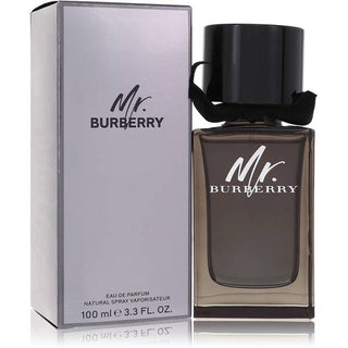 Perfume Men's Best Burberry Cologne Mr Burberry Cologne For