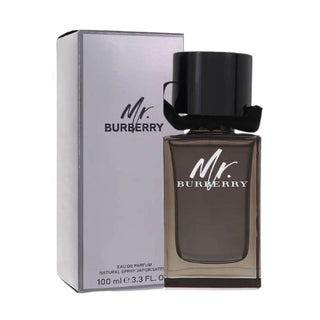 Mr Burberry Cologne